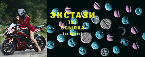 ECSTASY Богданович