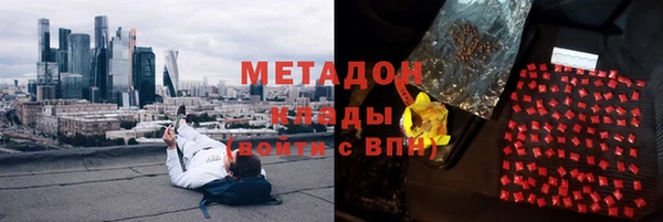 ECSTASY Богданович