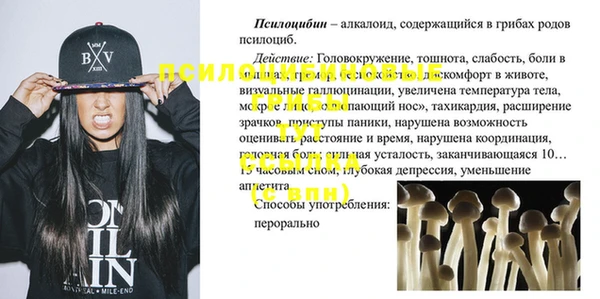 ECSTASY Богданович