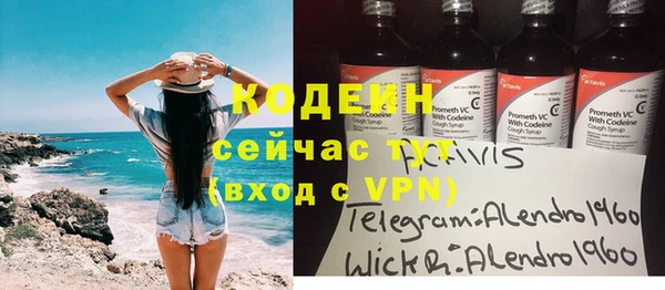 ECSTASY Богданович