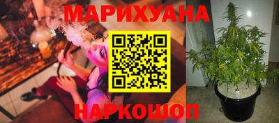 стафф Берёзовский
