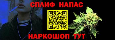 трава Гатчина