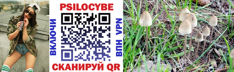 Галлюциногенные грибы Magic Shrooms  Великие Луки 