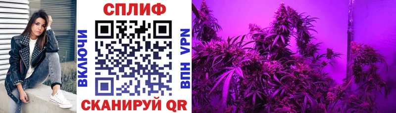 Бошки марихуана семена  blacksprut маркетплейс  Великие Луки 